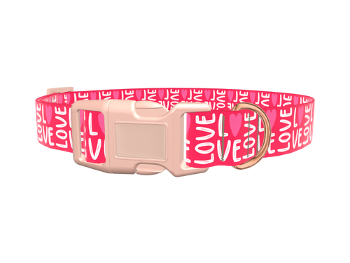 Valentine Love Heart Dog Collar