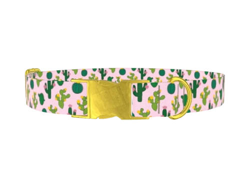 FLORAL_Cactus
