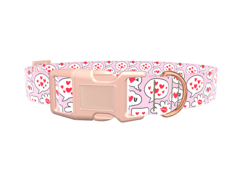 Romantic Speech Bubble Dog Collar