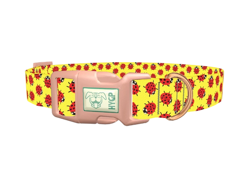 Ladybug Pattern Dog Collar