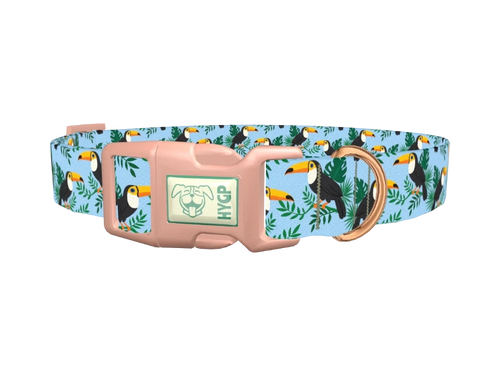 Tropical Toucan Dog Collar