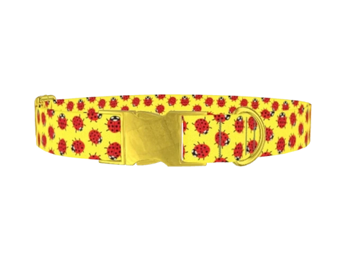 LADYBUGS_YELLOW