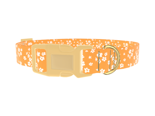 Yellow Blossom Dog Collar