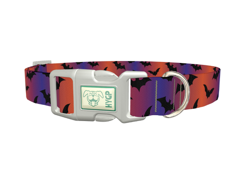 Halloween Bat Dog Collar