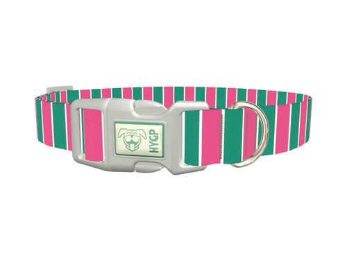 Pink and Green Stripe Dog Collar