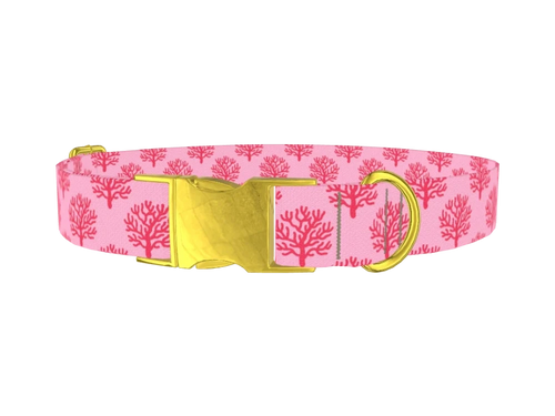 CORAL_LIGHT_PINK