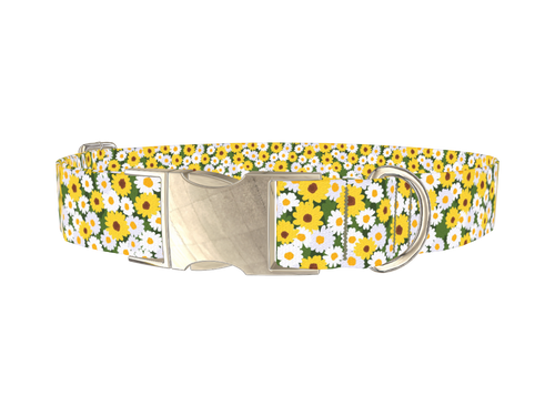 White and Yellow Daisy Dog Collar
