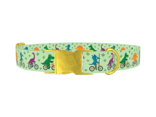 DINOSAUR_Cycling