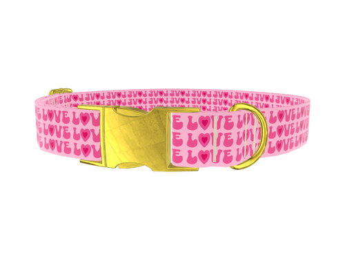 Valentine Love Dog Collar