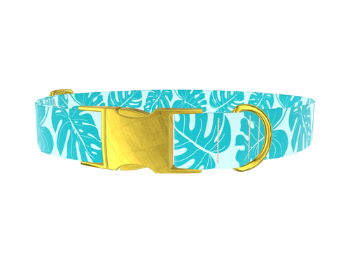 Tropical Monstera Dog Collar