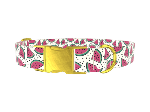 Watermelon Fruit Dog Collar