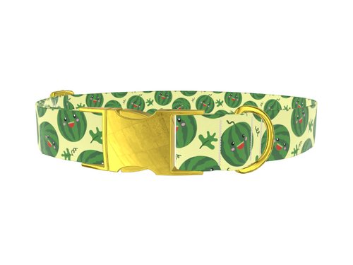 Watermelon Fruit Dog Collar