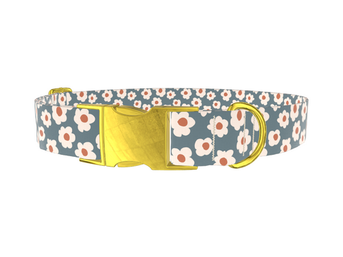 Dark Grey Daisy Dog Collar