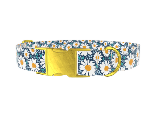 Floral Chamomile Dog Collar
