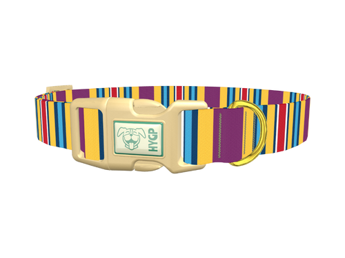 Yellow Purple Stripe Dog Collar