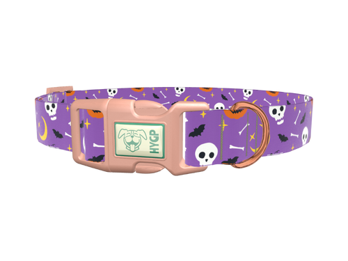 Halloween Moon Dog Collar