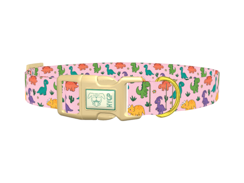 Dinosaur Mix Dog Collar