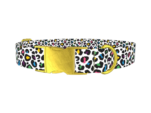 Colorful Leopard Dog Collar
