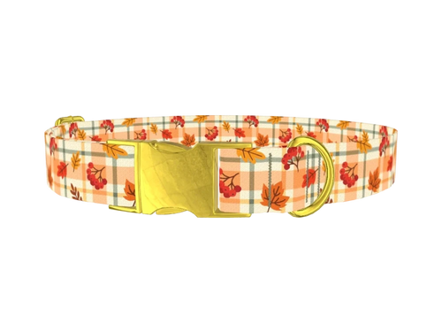 PLAID_AutumnLeaves