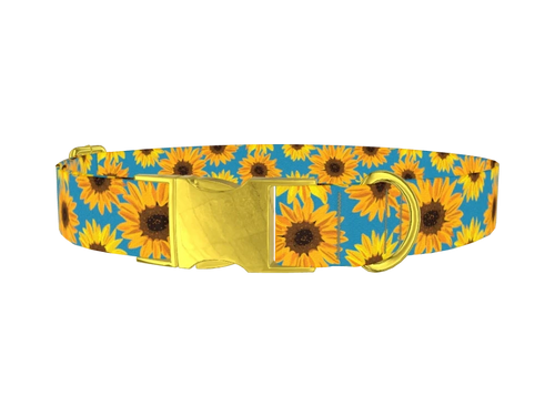 SUNFLOWER_3