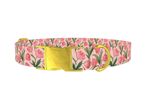 Tulips_1_Pink
