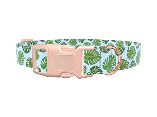Blue Monstera Leaf Dog Collar