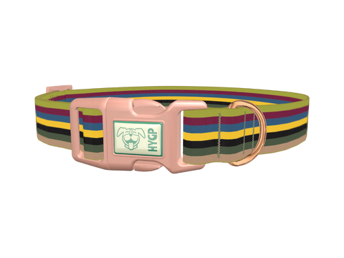 Color Stripe Dog Collar