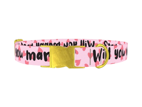 WORDS_43_Will_you_marry_me_43
