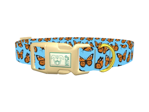 Monarch Butterfly Dog Collar
