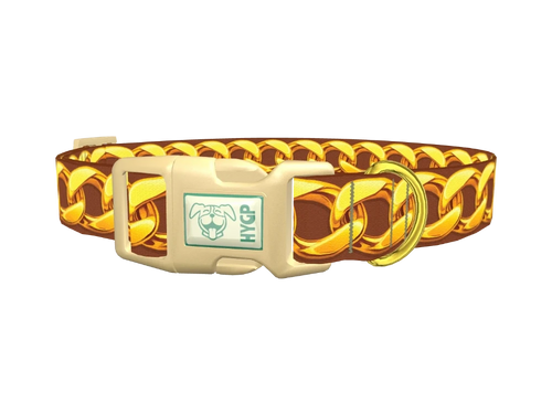 Gold Chain Design Dog Collar