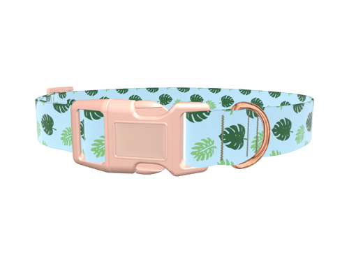 Monstera Leaf Dog Collar