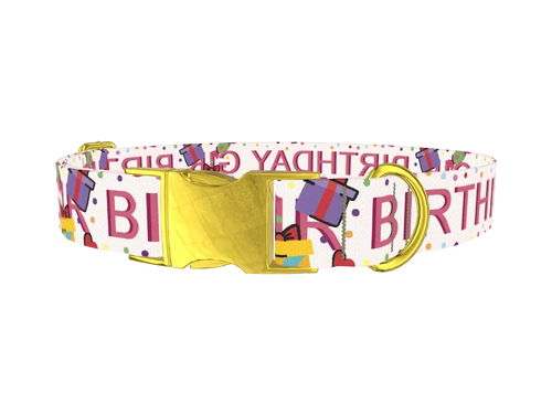 Birthday Celebration Dog Collar
