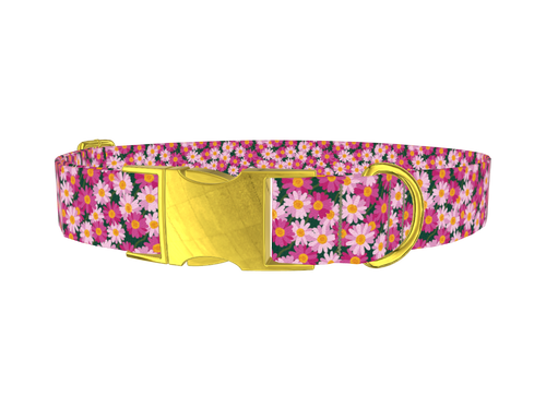 Pink Daisy Floral Dog Collar