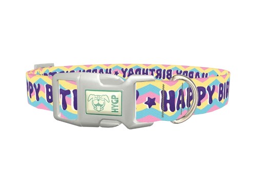 Birthday Chevron Dog Collar