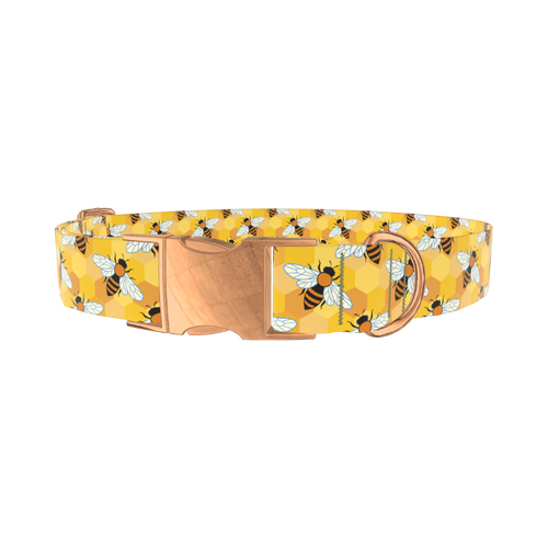 Bees6_Honeycombs