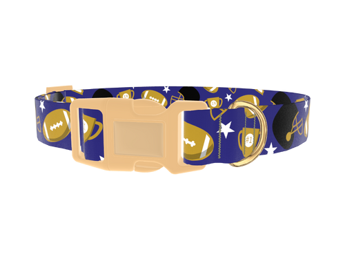 Purple Football Trophy Dog Collar