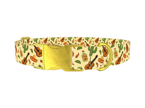 TRIBAL_MexicanGuitar