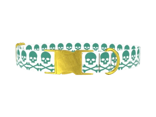 FUN16_Skullsturquoise