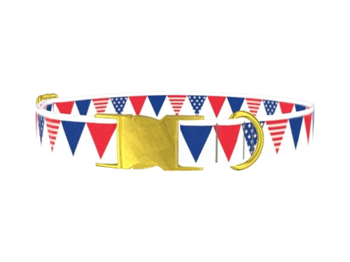 USA_FLAG_BANNER