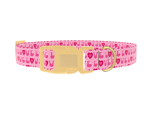Valentine Heart Dog Collar