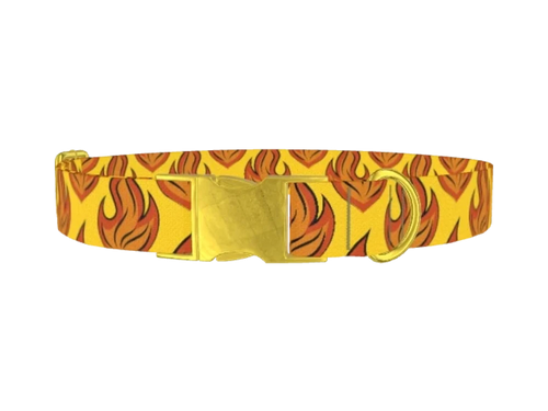 FUN_11_Fire11