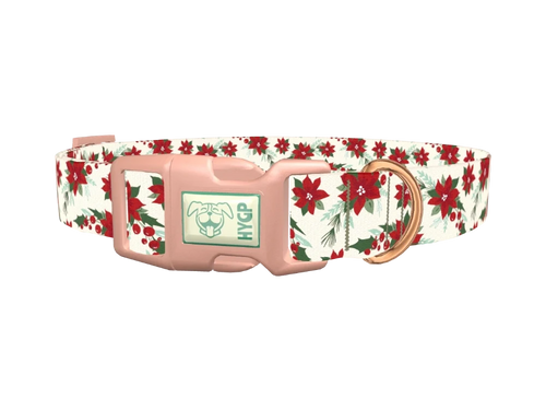 Festive Poinsettia Dog Collar