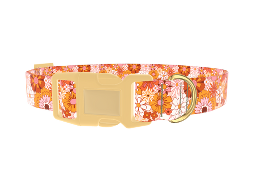 Retro Flower Burst Dog Collar