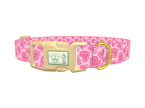 Pink Sketch Heart Dog Collar
