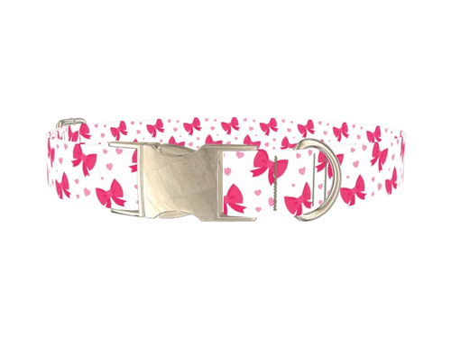Valentine Heart Ribbon Dog Collar
