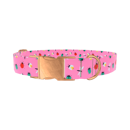 BUGS_PINK