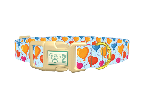 Valentine Heart Balloon Dog Collar