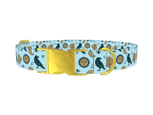 Mystical Crow Dog Collar