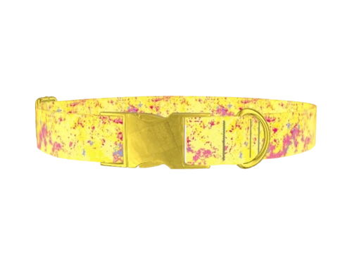 PaintSplatter_YellowPink