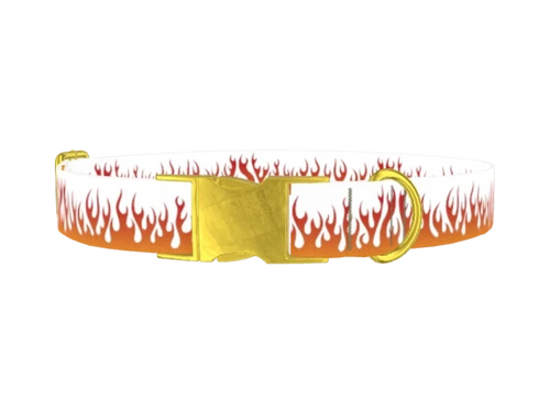 FUN_1_Flames